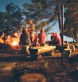 group of people near bonfire near trees during nighttime